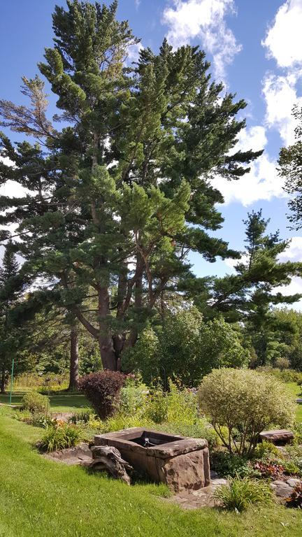Pinehurst Inn Bed & Breakfast Bayfield Esterno foto